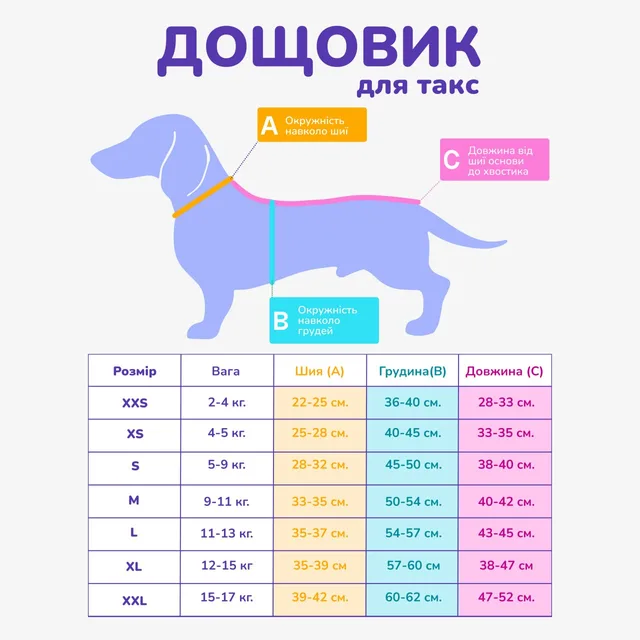 Розмірна сітка: Дощовики для такс