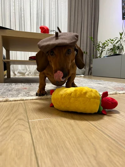 Лео на примірці