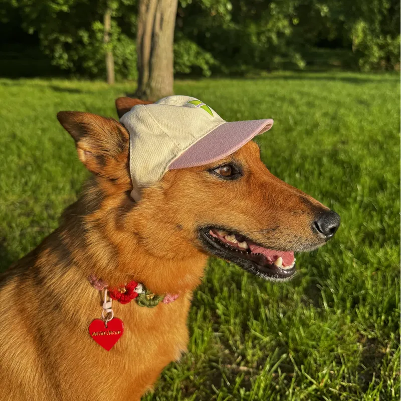 Бейсболка для собак Hat-Dog Sims рожева — фото 2