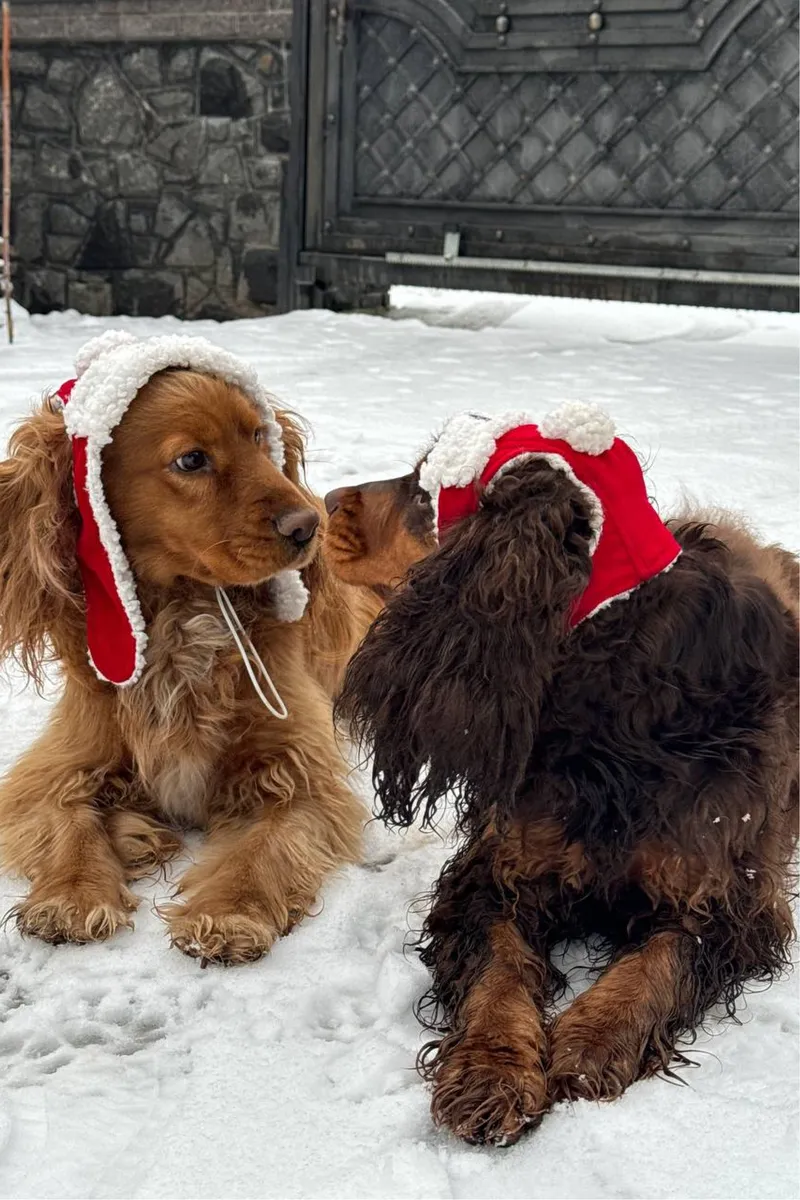 Шапка-вушанка для собак Hat-Dog Новорічна — фото 7