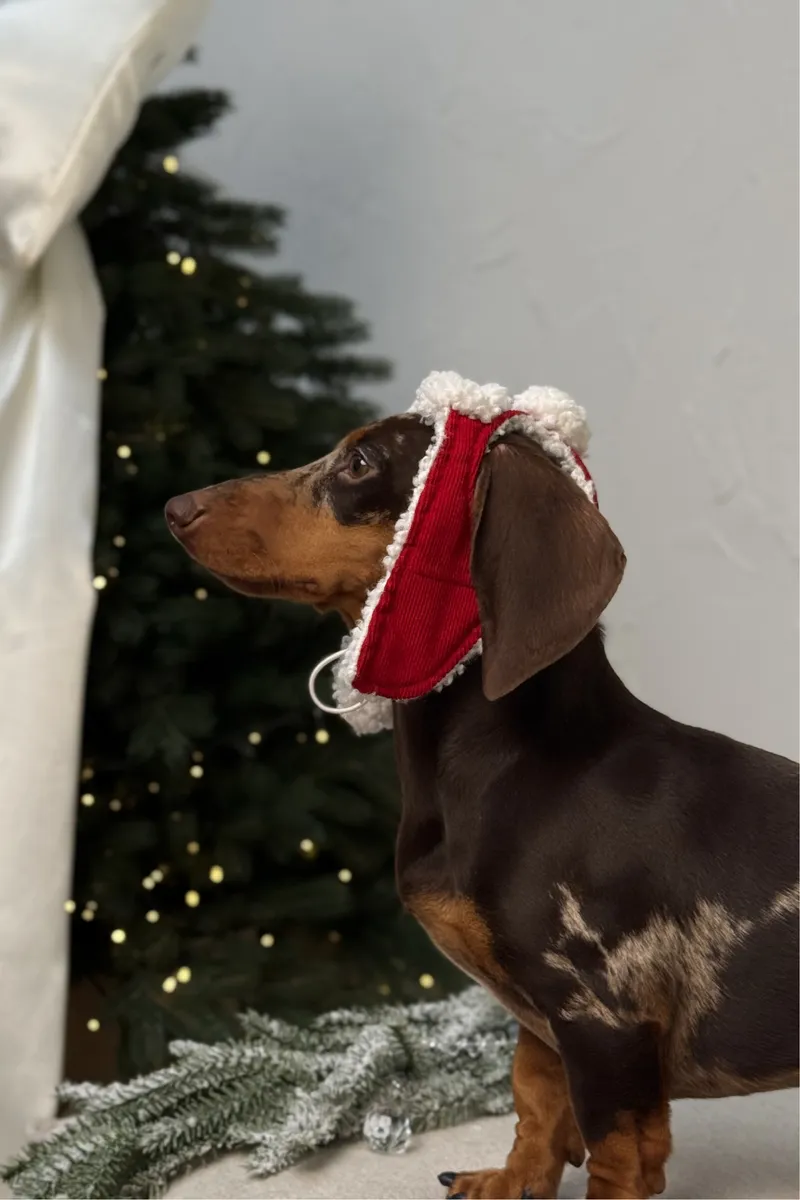 Шапка-вушанка для собак Hat-Dog Новорічна — фото 5