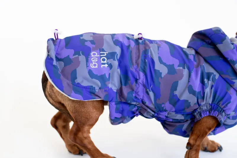 Вітровка для такс Hat-Dog Такса Муд — фото 14