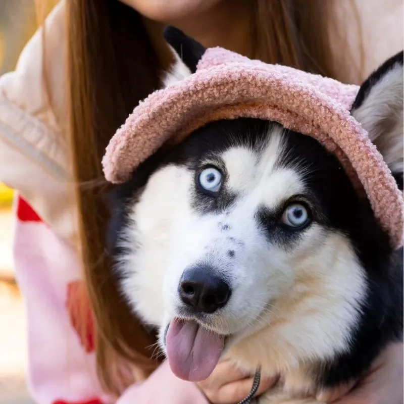 Тепла панама для собак Hat-Dog Пудрова — фото 1